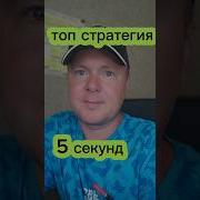 Стратегия Свечин