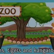 There Are Lots Of Animals In Our Zoo