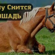 Мне Приснился Красный Конь