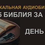 День 143 С Илларионом