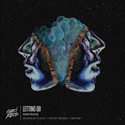 Letting Go Franky Rizardo Remix