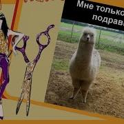 Картинкаи Приколи Точики
