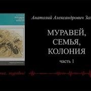 Black Niger Книга Жить Жизнь Слушать Бесплатно