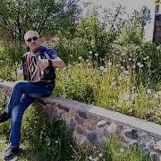 Одуванчик Ты Мой Одуванчик Облетели Твои Семена