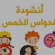انا انسان وليا خمس حواس