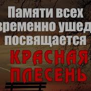 Красна Плесень Альбом Пам Ти О