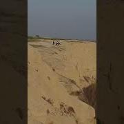 Farg Ona Kanalidan 3 Metirli Ilon Ushlandi