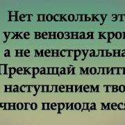 Венозная Кровь Сахих Бухари Хадис 228
