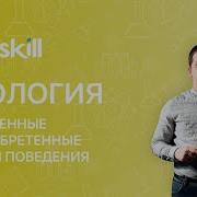 Врожденные Формы Деятельности Организма