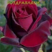 Любимая Моя Драгоценная