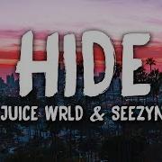 Hide Spider Man Into The Spider Verse