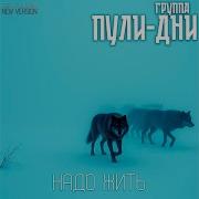 Пули Дни Бродяга