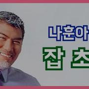 나훈아 잡초