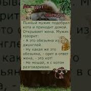 Анекдот Про Кота И Мужика