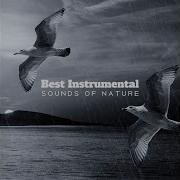 Serenity Nature Sounds Academy Light Hearted Mornings