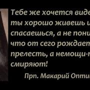 Vid 64 Земное Не Отражается На Небе