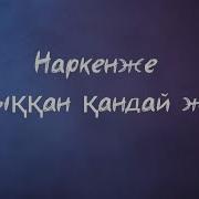 Жолыққан Қандай Жақсы Текст