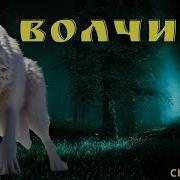 Зов Волка Призрачный Автобус