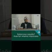 Бөйрөк Оорусу Дубасы