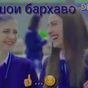 Saeed Eskandari 2018 Зеботарин Клип