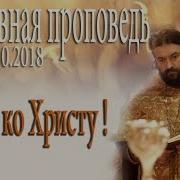 Ткачев Окамененное