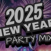 Best Remixes By Pitbull Frieds New Year 2025 Party Best Remix