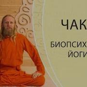 Биопсихология Йоги
