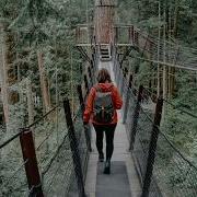 Animoex Walk On The Bridge