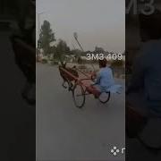 Рамазан Прикол