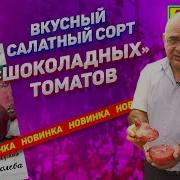 Темная Королева Узы Жизни