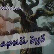 Сабатини Старый Дуб