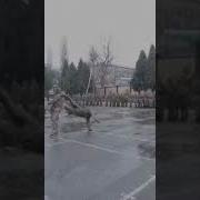 Спецназ Илбирс