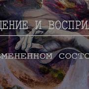 Ощущение И Восприятие