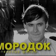 Зимородок Россия