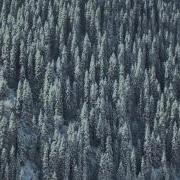 Видео Природа Казахстана