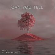 Could You Teel Radio Edit Filagezound