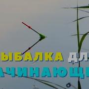 А У Реки Рыбачат Девки
