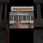 Непрерывный Бас