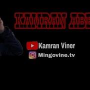Kamran Abbasov Yak
