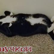 Смешная Озвучка