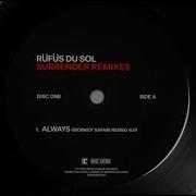 Always Monkey Safari Remix Mixed