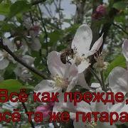 Всё Как Прежде Всё Та Же Гитара