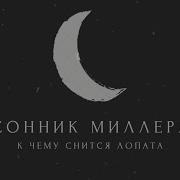 Сонник Фонк