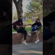 Hammani Lol Qoldirgan Sardor Tairov Layli Jonli Ijroda