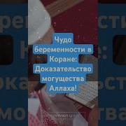 Беременность Коран
