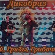 Ой Грибы Грибочки Дикобраз Cover