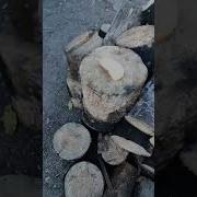 Я Собака По Двору Гуляю Непрерывно Хвостиком Виляю