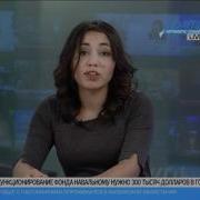 Собачий Lie Человек В Футляре