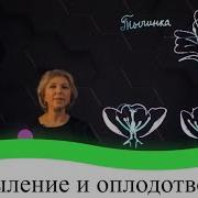 Биология 7 Класс 6 Параграф