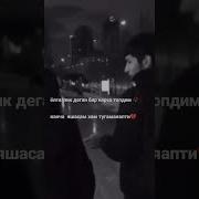 Мусофир Согинч